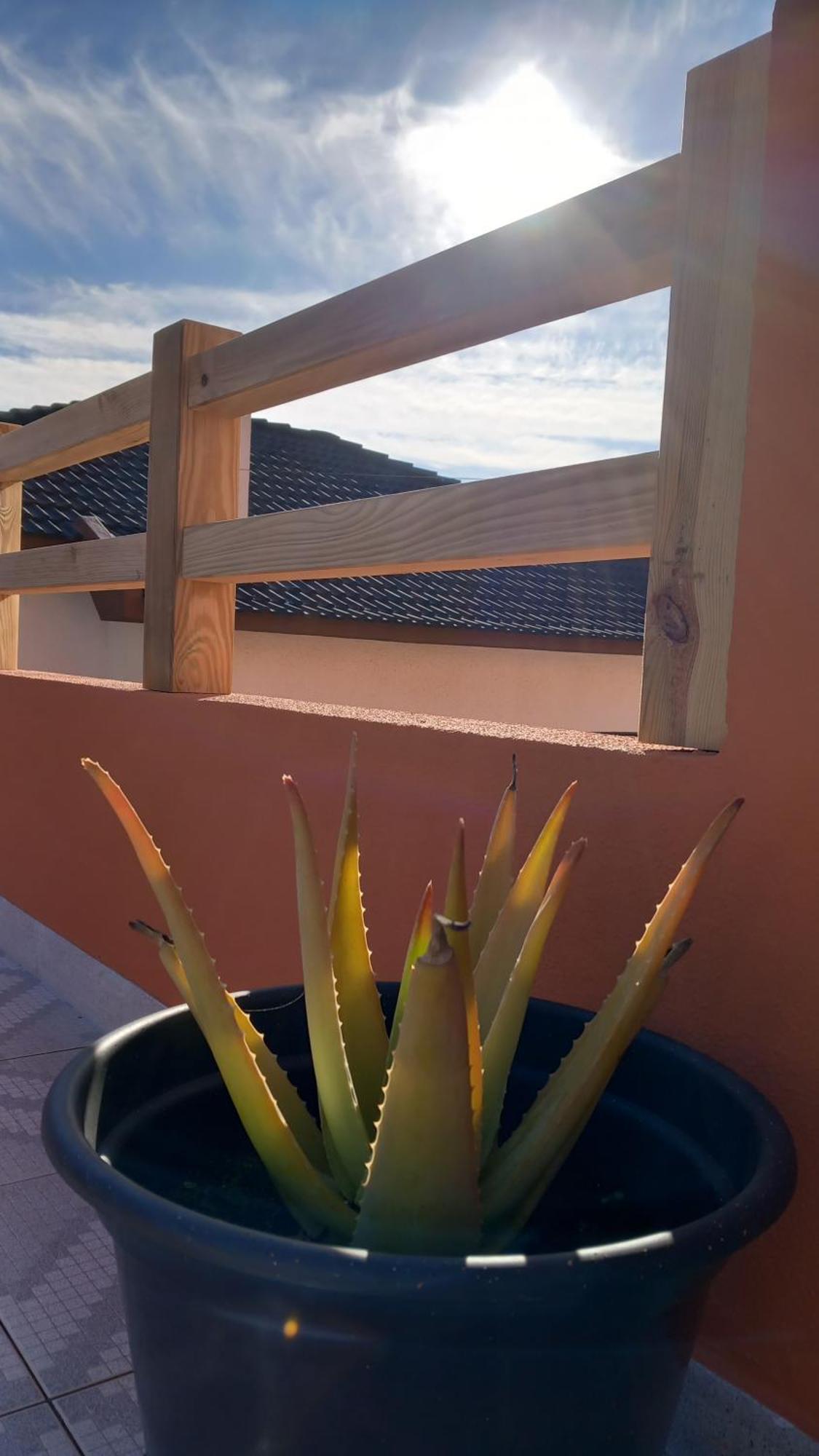 Guesthouse Beach Break Peniche Ngoại thất bức ảnh